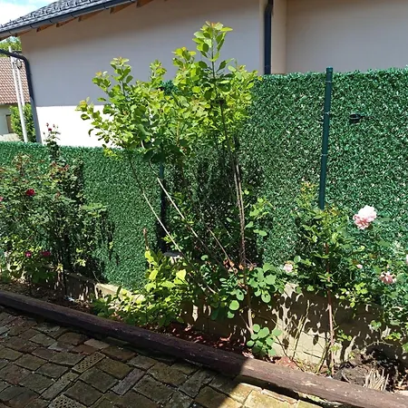 Kucica Za Odmor Lena I Matija Apartman *